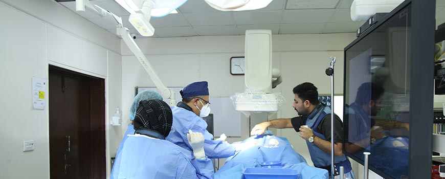 vascular and interventional radiology
