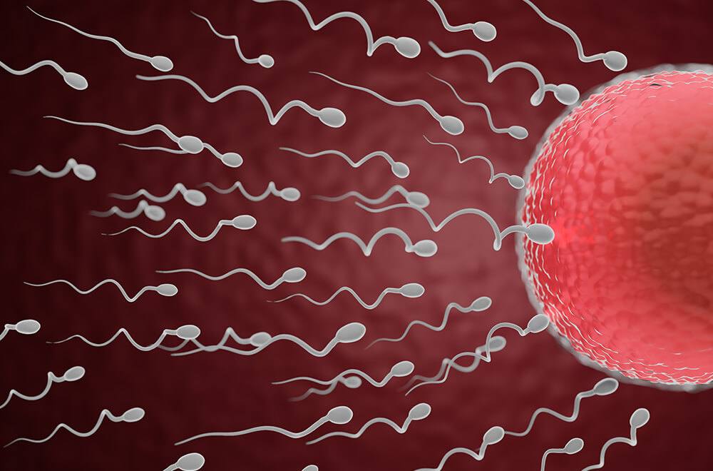 what is azoospermia and is there a cure for it featured image — Prof. Dr. Imtiaz Ahmad, interventional radiologist in Pakistan
